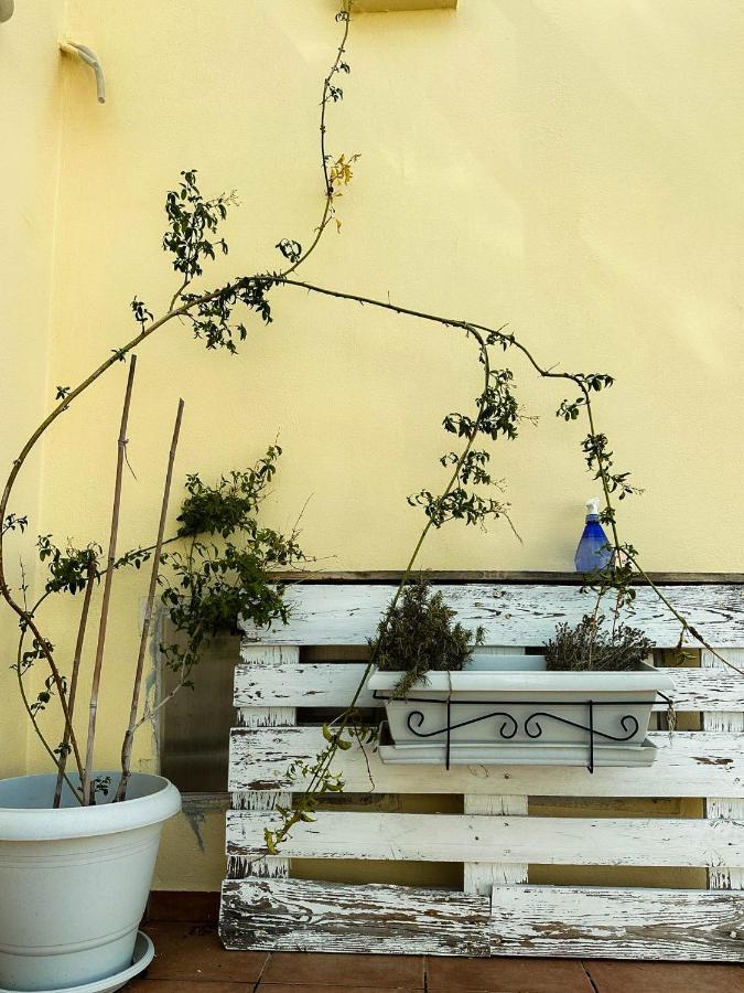 Beachnest Apartment آغيوس نيكولاوس المظهر الخارجي الصورة